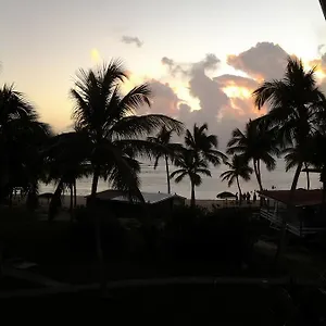 Cocotiers Et Pieds Dans L'eau Saint-Francois (Grande-Terre)